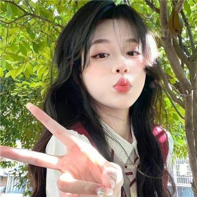孤鸟罗宾